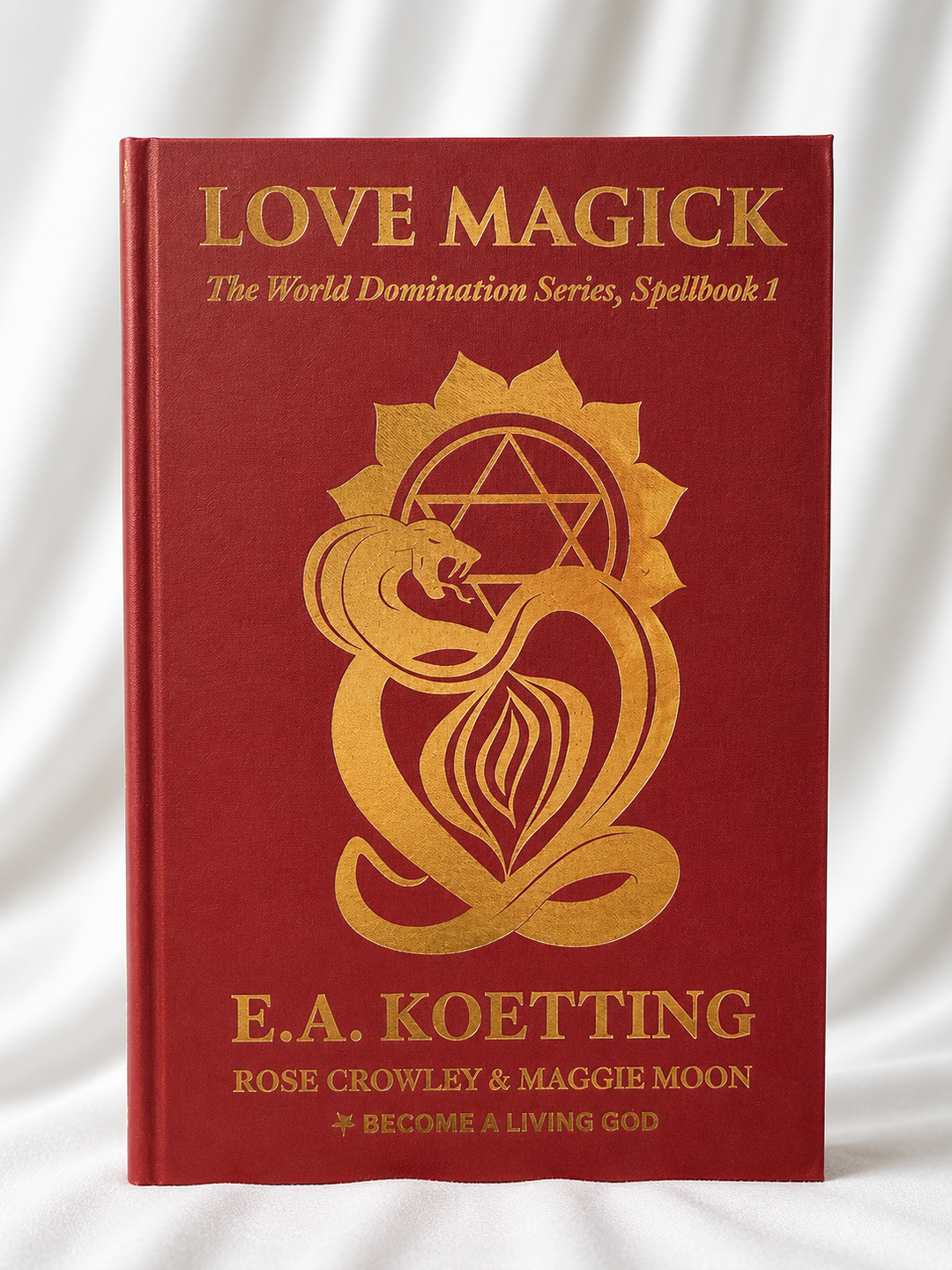 Love Magick: The World Domination Series Spellbook 1