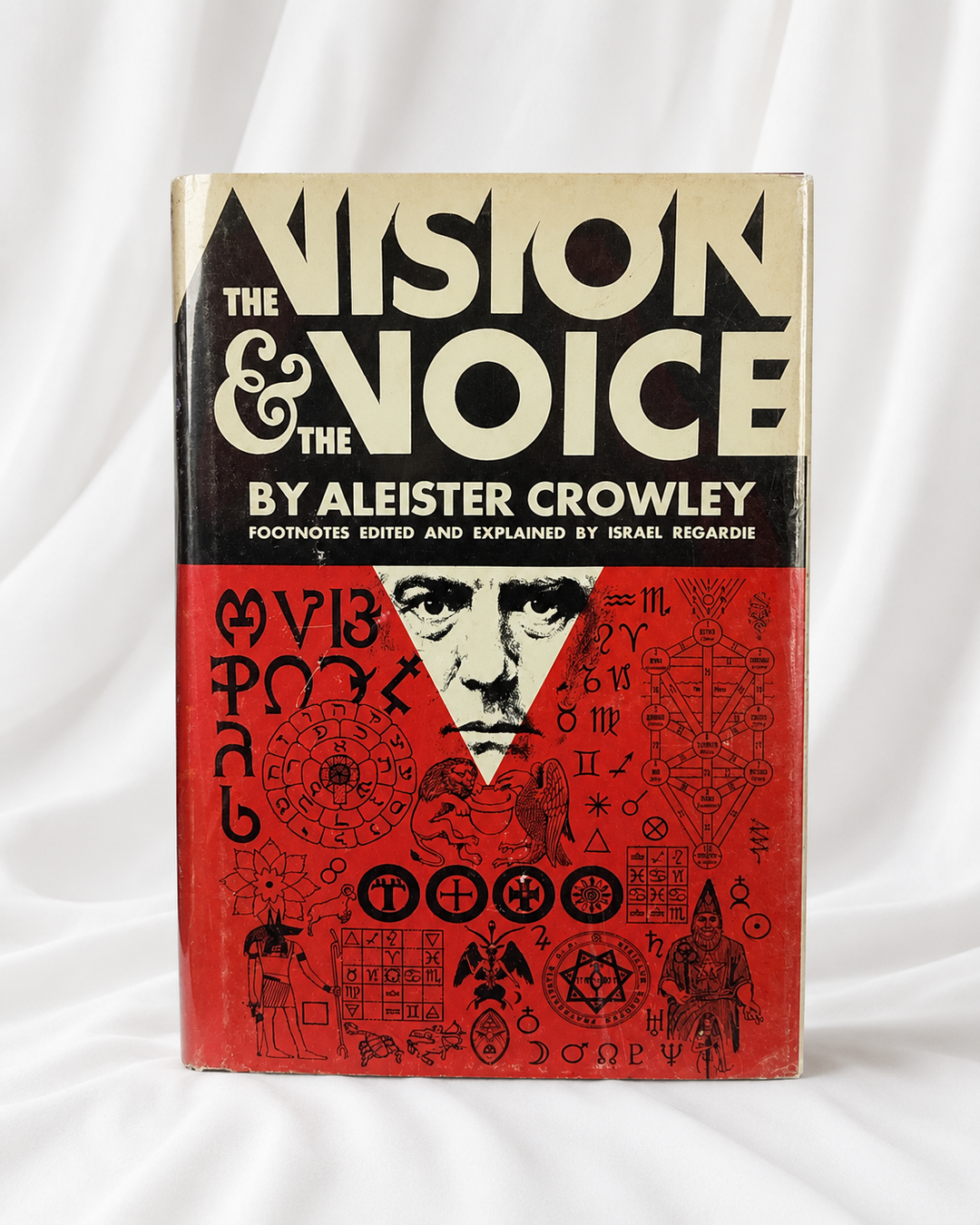 The Vision and the Voice
