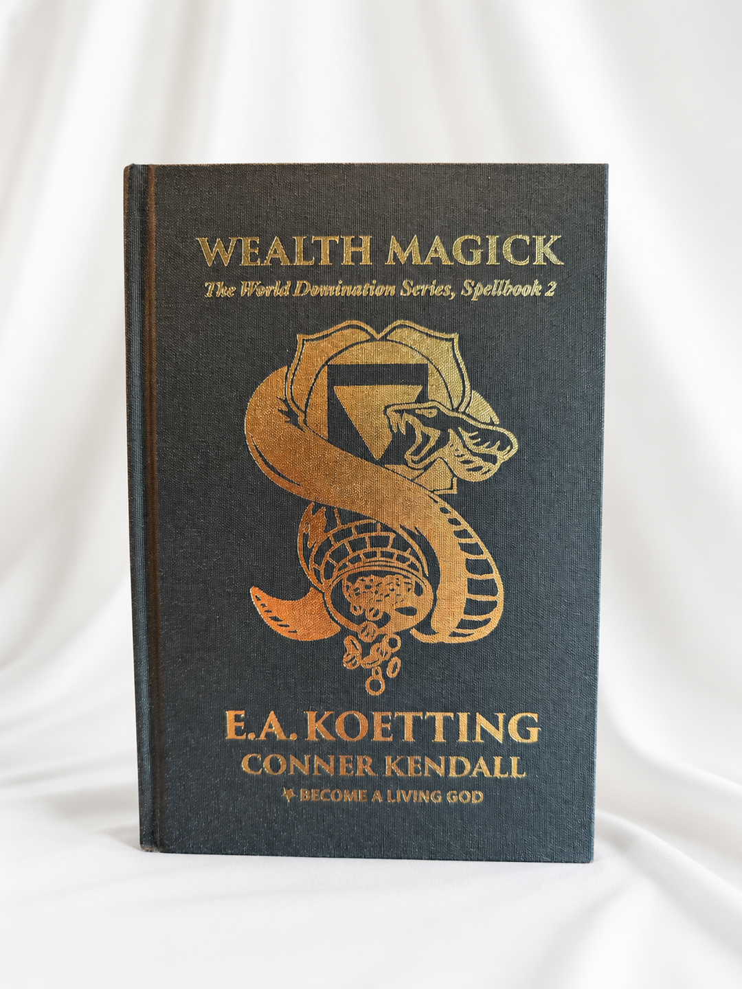 Wealth Magic; The World Domination Series, Spellbook 2